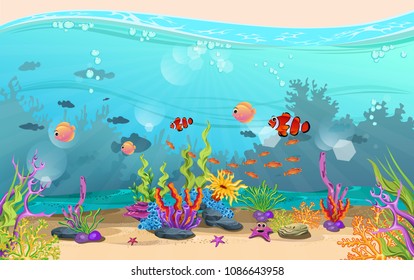 the beauty of underwater scenery. marine habitats and ecosystems. fish and coral reefs are beautiful.