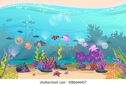 Beauty Underwater Scenery Marine Habitats Ecosystems Stock Vector ...