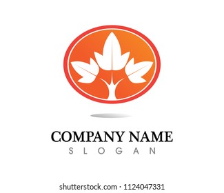 Beauty Vector flowers design logo Template icon