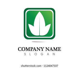Beauty Vector flowers design logo Template icon