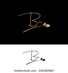 Beauty vector Initial letters BN with leaf. Signature, handwriting, fashion, boutique, wedding, jewelry, botanical , floral logo creative Vector logo Design template
