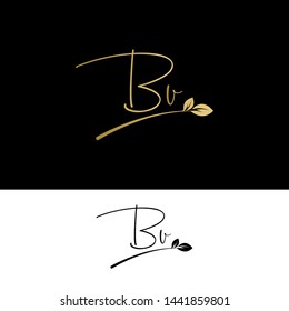 Beauty vector Initial letters BV with leaf. Signature, handwriting, fashion, boutique, wedding, jewelry, botanical , floral logo creative Vector logo Design template