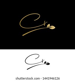 Beauty vector Initial letters CR with leaf. Signature, handwriting, fashion, boutique, wedding, jewelry, botanical , floral logo creative Vector logo Design template