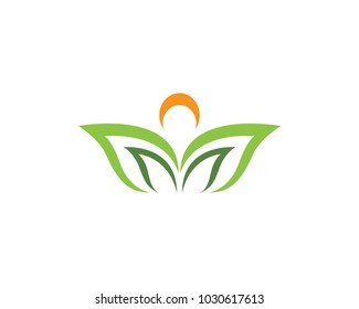 Beauty Vector lotus flowers design logo Template icon