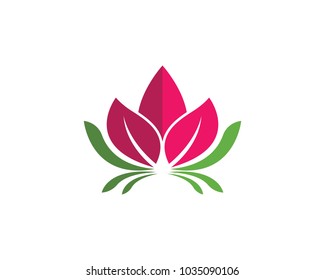 Beauty Vector lotus flowers design logo Template icon