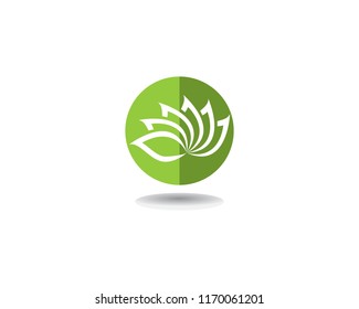 Beauty Vector Lotus flowers design logo Template icon