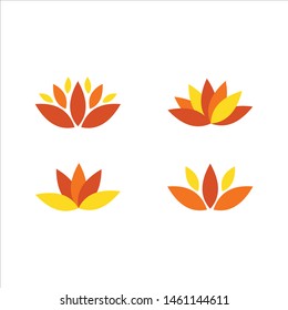beauty vector lotus flowers design