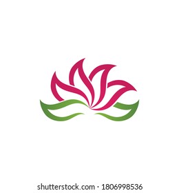 Beauty Vector lotus flowers design logo Template icon