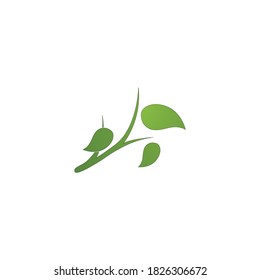 Beauty Vector lotus flowers design logo Template icon