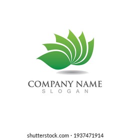 Beauty Vector lotus flowers design logo Template icon