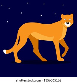 Beauty wild cat, companion of the king of beasts lion - lioness on the background of the night starry sky. vector illustration