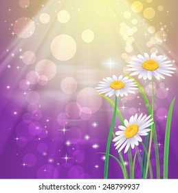 Beautyful camomiles. Vector of spring background