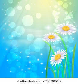 Hermosos camomiles. Vector del fondo del muelle