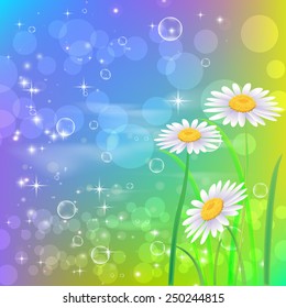 Beautyful camomiles. Vector of spring background