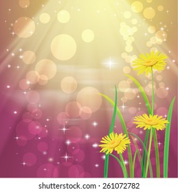 Beautyful camomiles. Vector of spring background