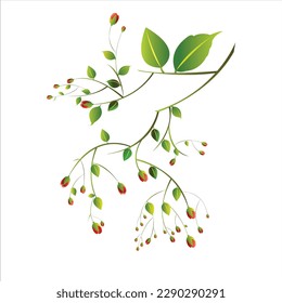 Beautyful floral design with red buds and green leaves on white color background.