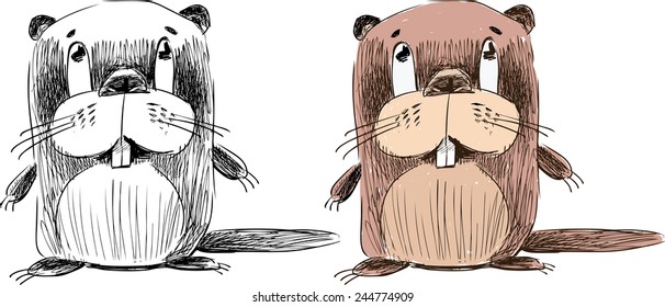 beaver