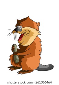 beaver