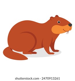 Beaver animal flat vector illustration on white background.