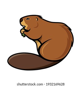 Beaver animal - isolated outlined vector illustration