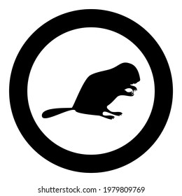 Beaver animal Rodent stand silhouette in circle round black color vector illustration solid outline style image