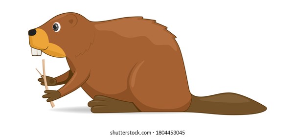 Beaver animal standing on a white background. Cartoon style vector illustration