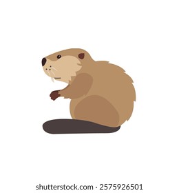 Beaver animal symbol sign icon vector illustration