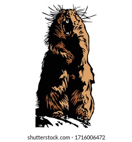 Beaver Animal Vector Illustration Design Collection