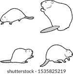 Beaver Animal Vector Illustration Hand Drawn Cartoon Art