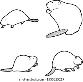 Beaver Animal Vector Illustration Hand Drawn Cartoon Art