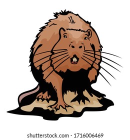 Beaver Animal Vector Illustration Template Icon Collection