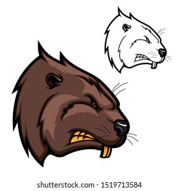 Beaver animal vector mascot of rodent head with angry muzzle, strong teeth, brown fur and red eyes. Forest river or woodland wildlife, hunting sport club and zoo icon design