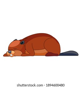 The beaver is asleep. Cartoon character of a small mammal animal. A wild forest creature with brown fur. Side view. Vector flat illustration isolated on a white background.