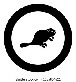 Beaver black icon in circle