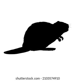 Beaver Black Silhoeutte Vector Illustration on White Background