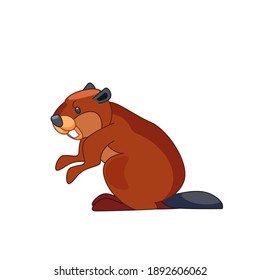 Beaver  builder and looks around in surprise. Cartoon character of a small mammal animal. A wild forest creature with brown fur. Side view. Vector flat illustration isolated on a white background.
