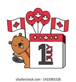 beaver calendar balloons flags happy canada day vector illustration