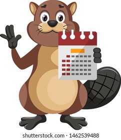 Beaver with calendar, illustration, vector on white background.