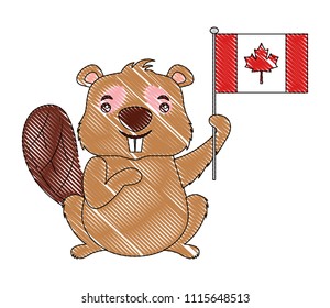 beaver of canada with flag isolated icon