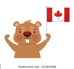 beaver of canada with flag isolated icon