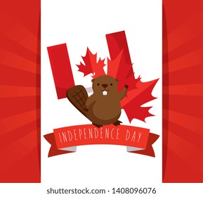 beaver with canada flag with leaf and ribbon decoration to holiday
