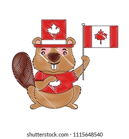 beaver of canada with hat and flag isolated icon
