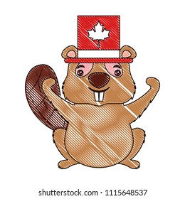 beaver of canada with hat isolated icon