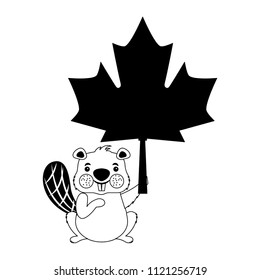 beaver of canada with maple leaf