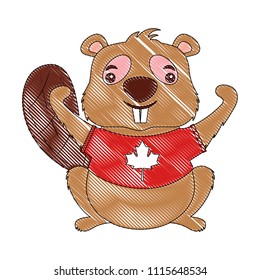 beaver of canada with shirt isolated icon