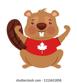 beaver of canada with shirt isolated icon