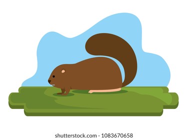 beaver canadian animal scene