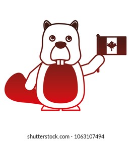 beaver with canadian flag