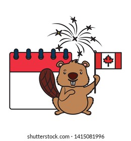 Beaver Canadian Flag Calendar Fireworks Happy Canada Day Vector Illustration