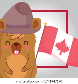 Beaver with canadian flag design, Happy canada day holiday and national theme Vector illustration